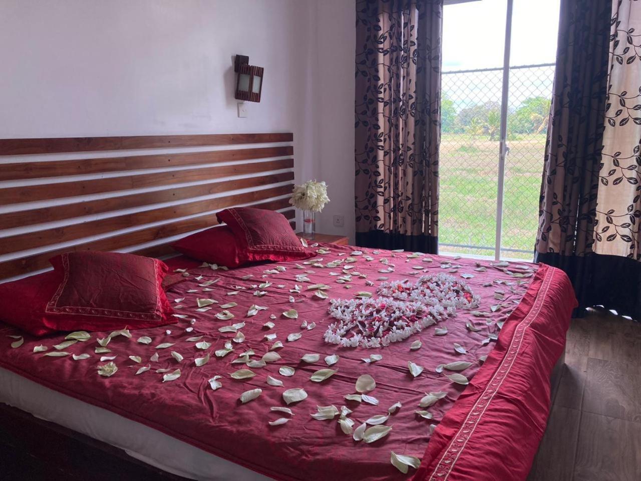 Manel Guest House Polonnaruwa Zewnętrze zdjęcie