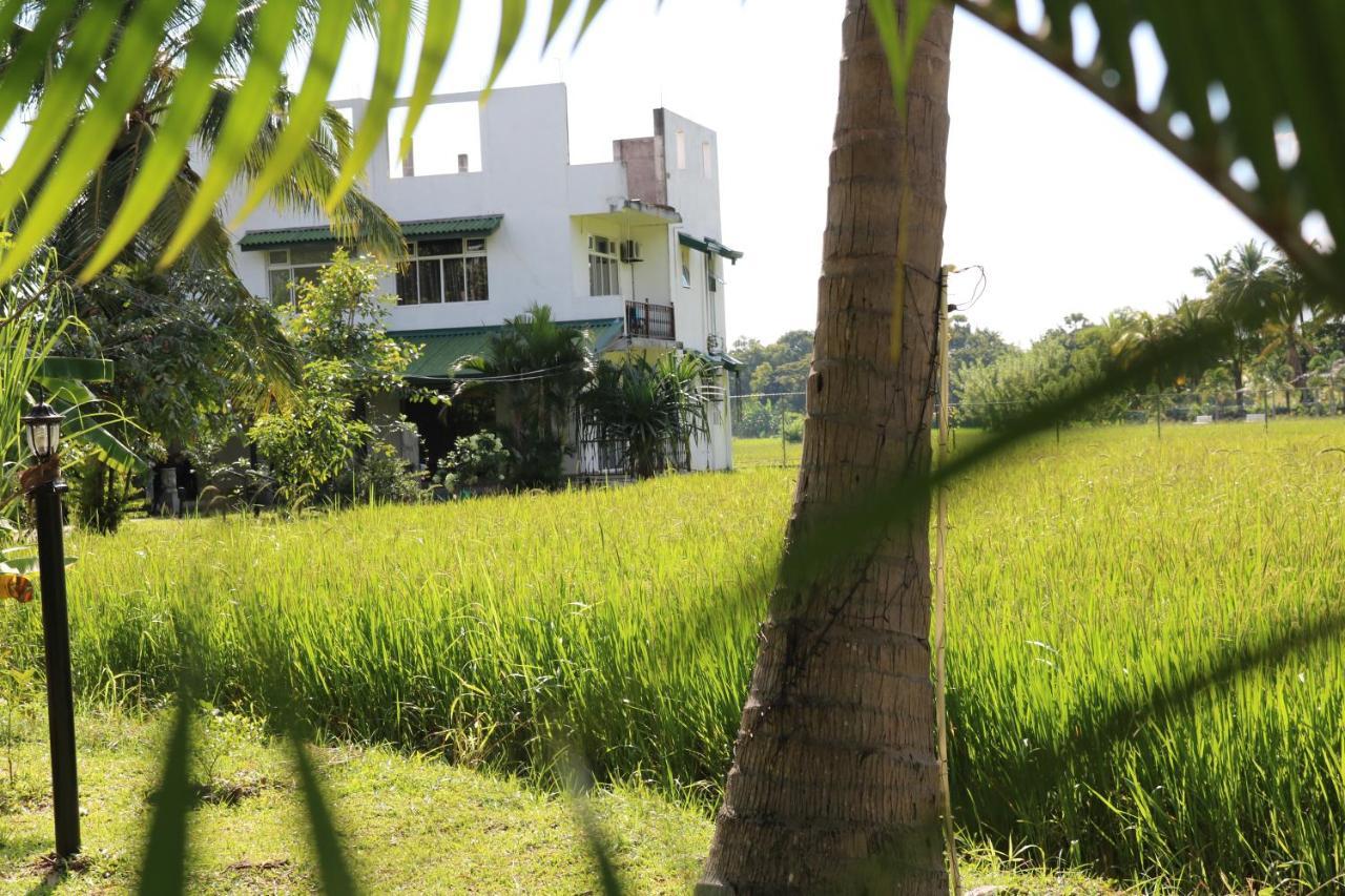 Manel Guest House Polonnaruwa Zewnętrze zdjęcie