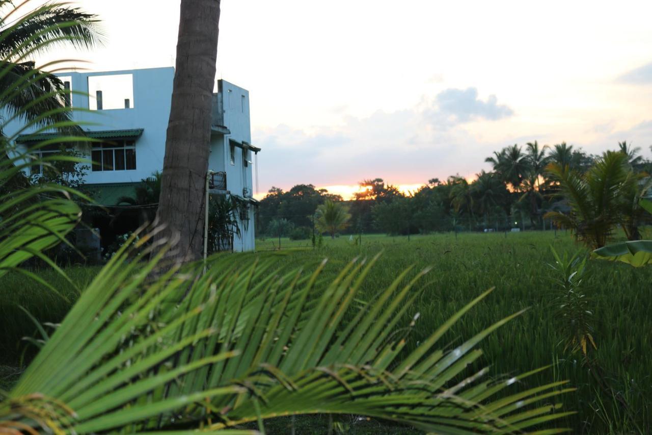 Manel Guest House Polonnaruwa Zewnętrze zdjęcie